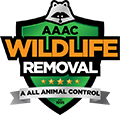 Sun Prairie Wildlife Removal